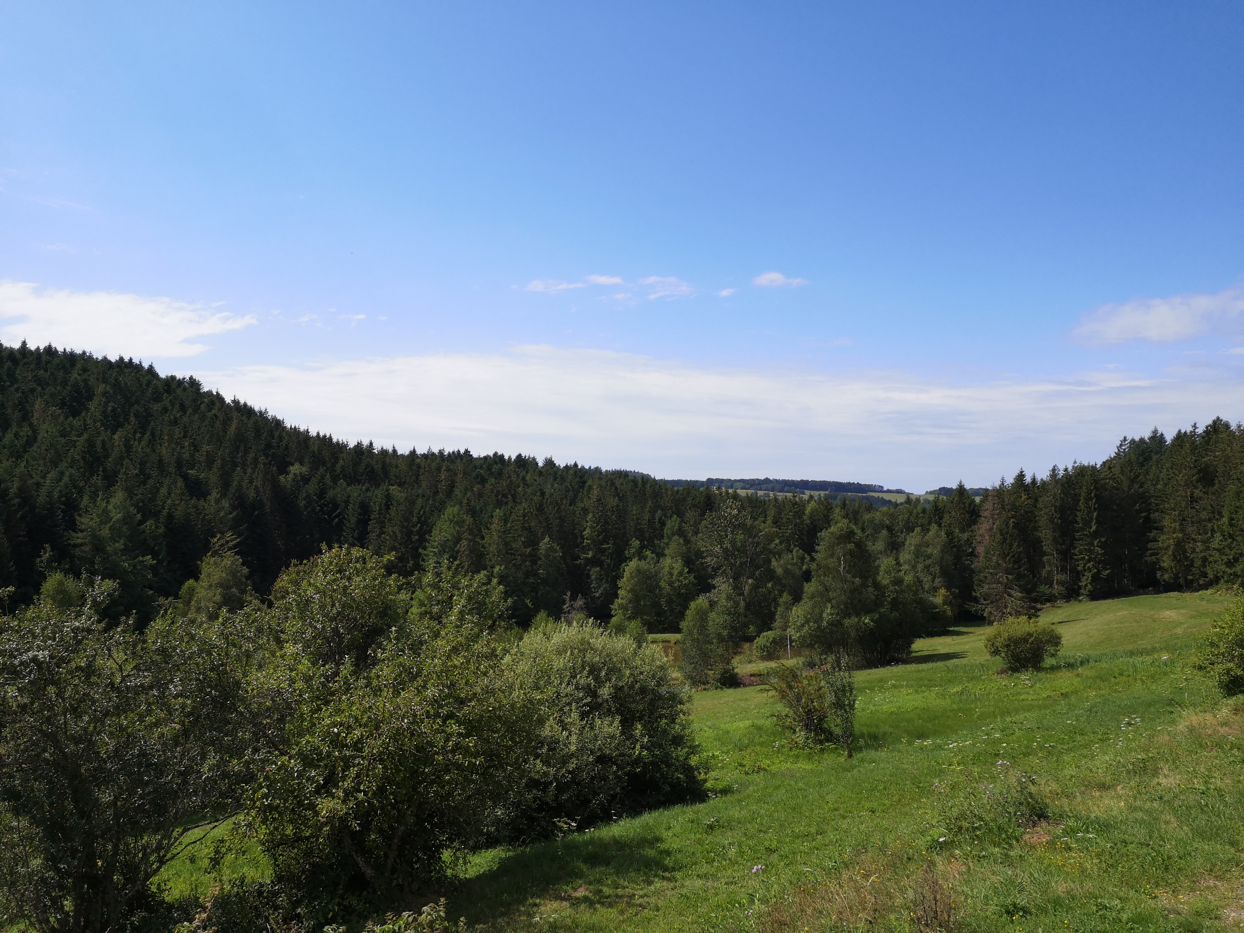 Vosges mountain near farm-inn-restaurant 'La Vigotte' - Taken in August 2021
